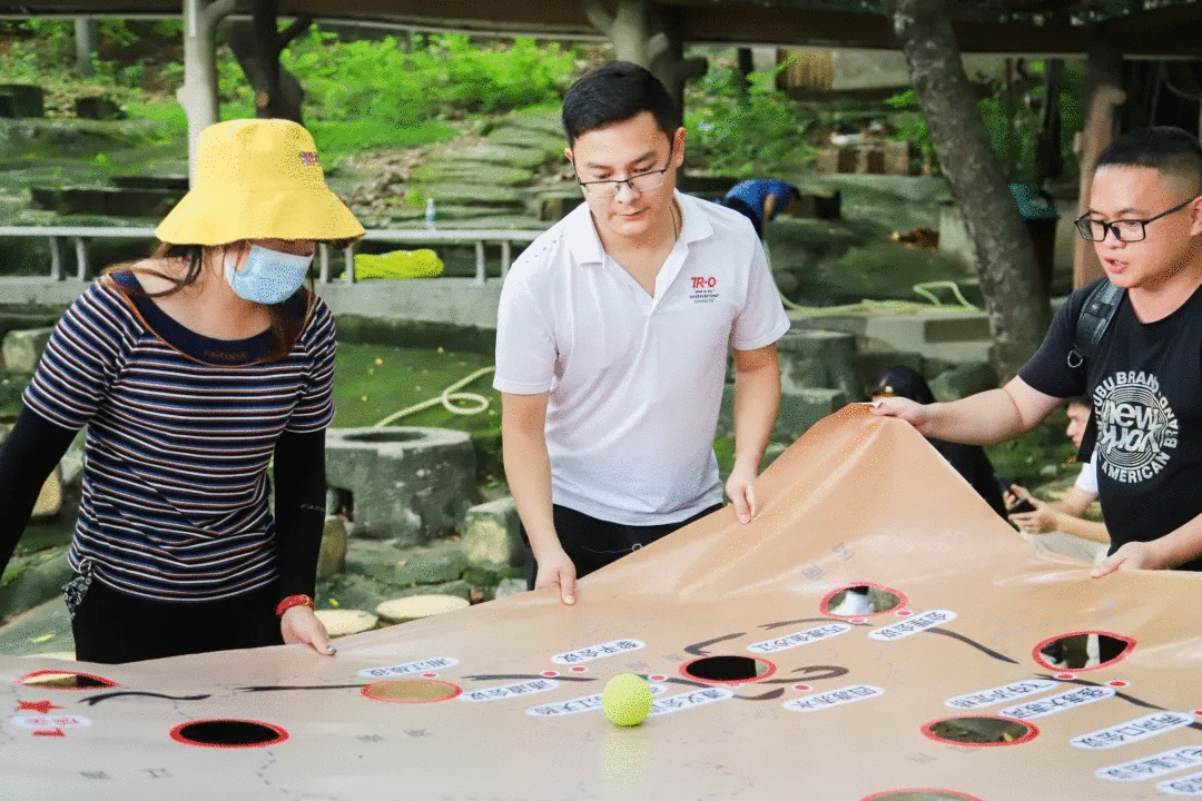 金馬爭霸賽 金馬爭霸賽