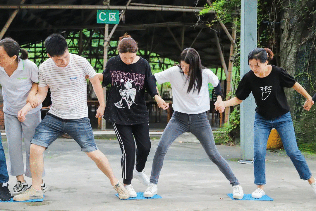 金馬爭霸賽 金馬爭霸賽