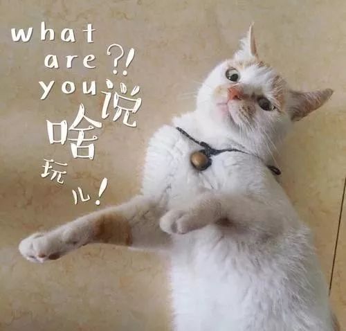 傲馬網絡技術有限公司 傲馬網絡技術有限公司